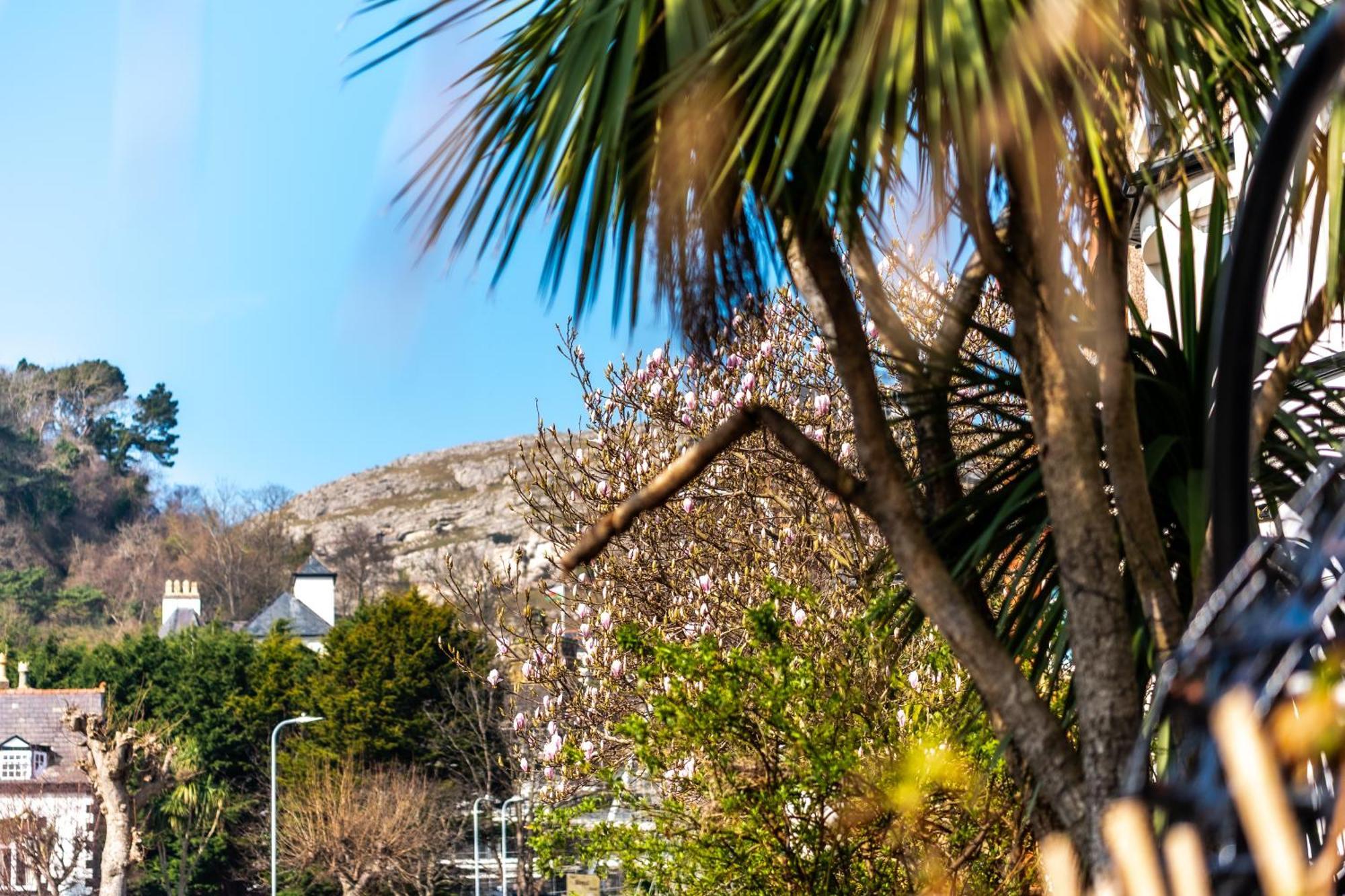 Mulberry House Hotel Llandudno Exterior photo